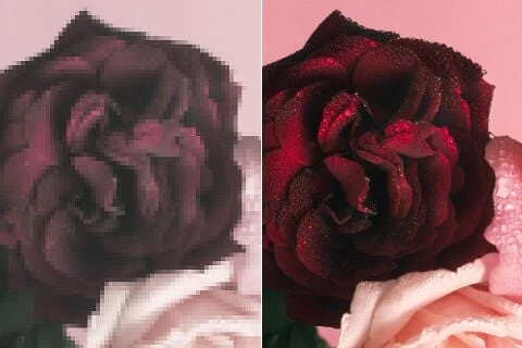 Enrich Color Vibrancy