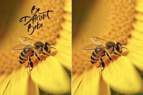 Remove Watermarks with One Click